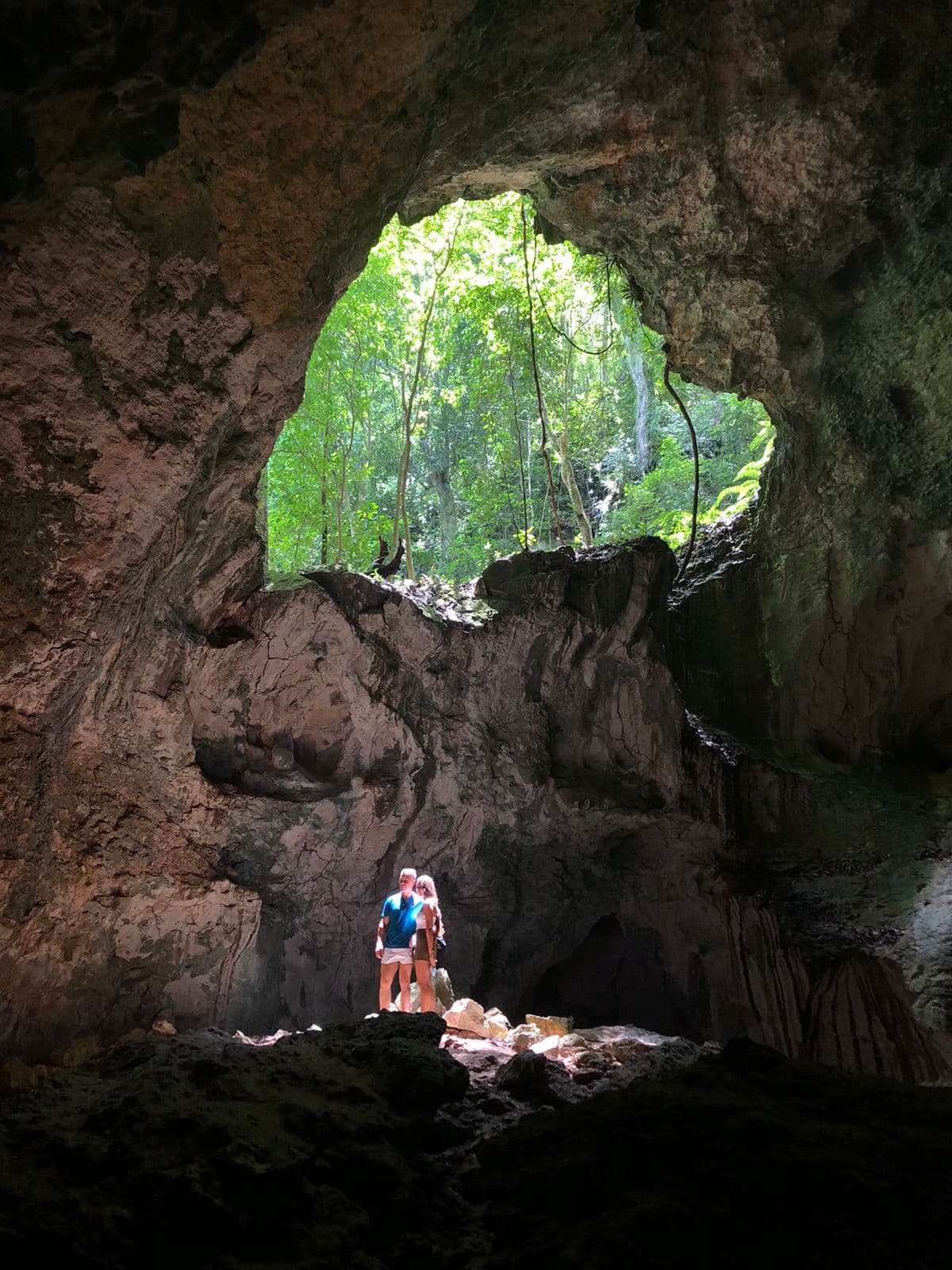 Los Haitises from Samaná | Tours, Prices & Complete Guide