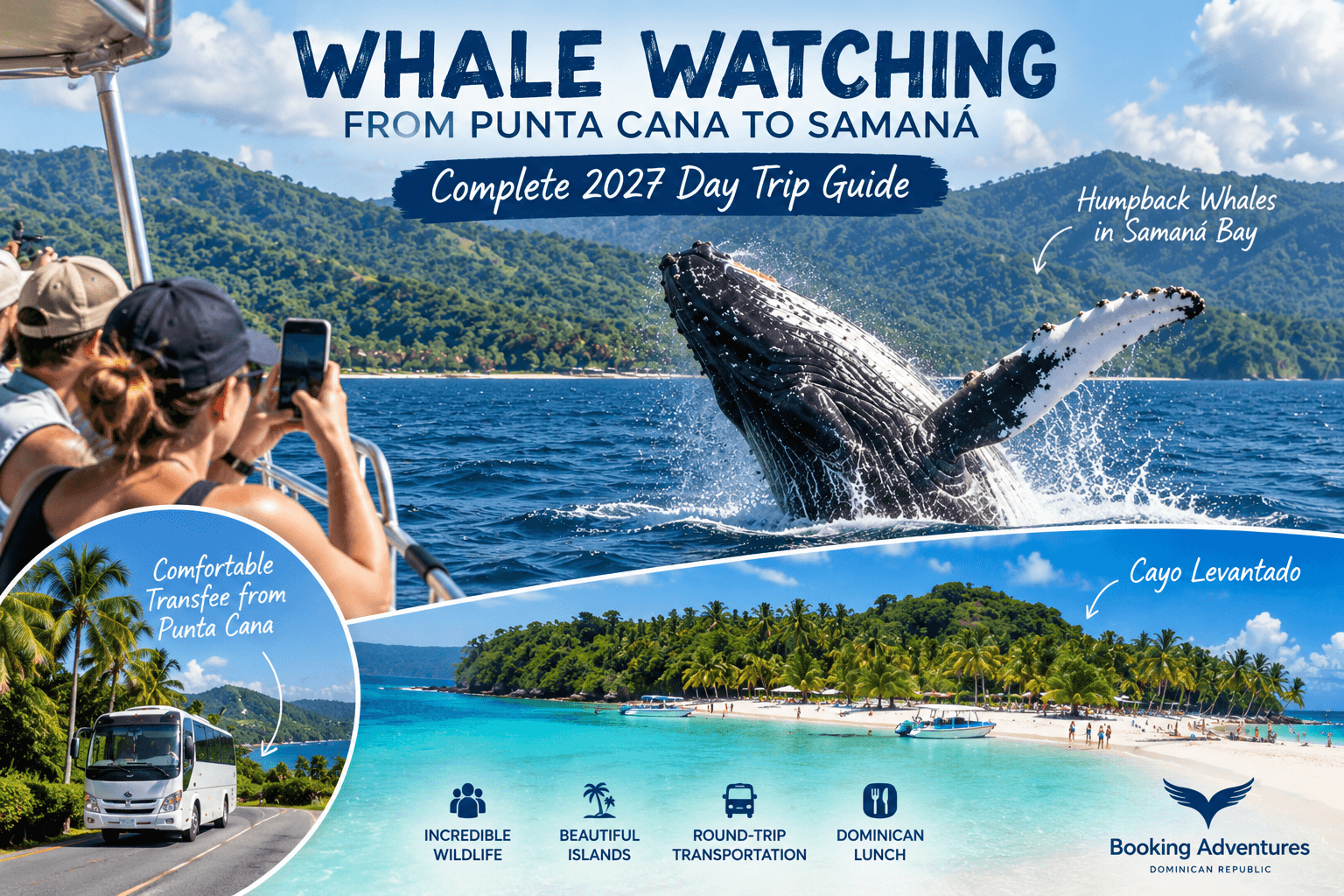 Whale Watching from Punta Cana to Samaná: Complete 2027 Day Trip Guide