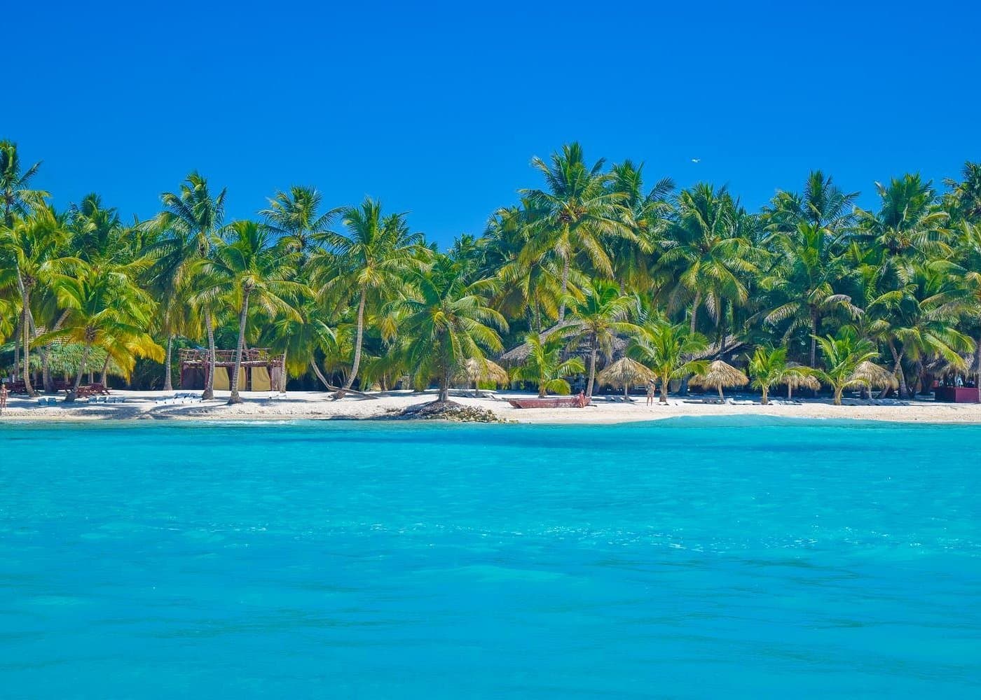 Assicurazione di viaggio per l'Isola di Saona: cosa controllare prima di prenotare